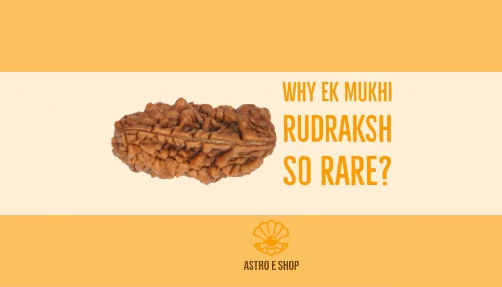 EK MUKHI RUDRAKSHA