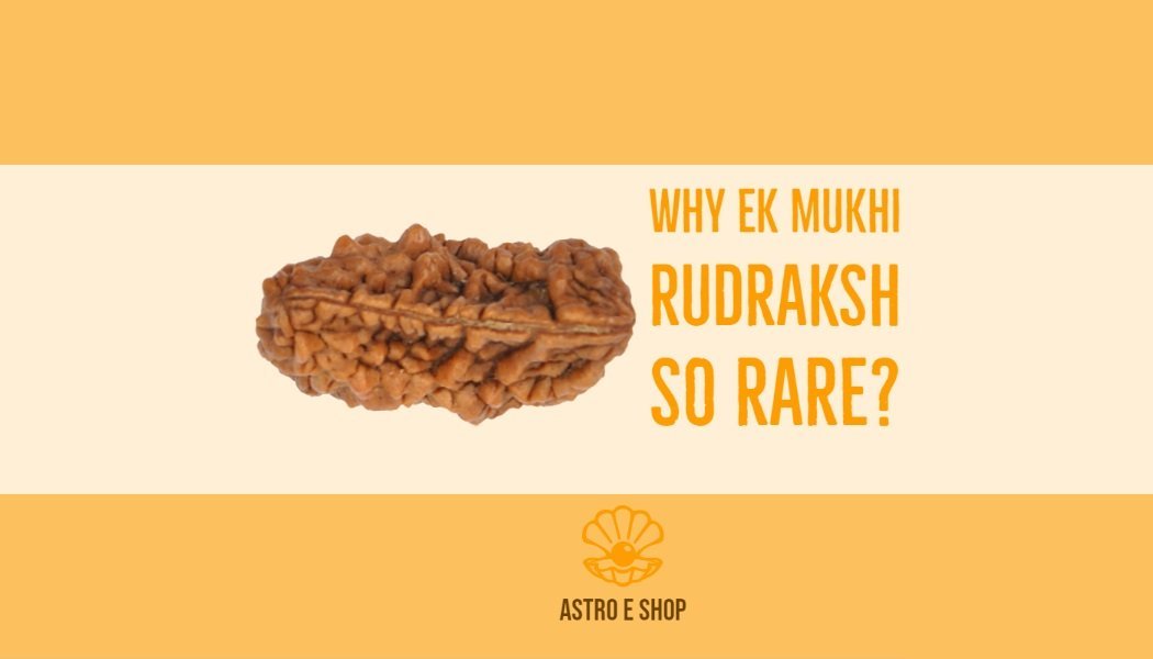eak mukhi rudrakasha unique