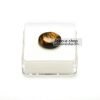 wm Tiger Eye 5 C 1