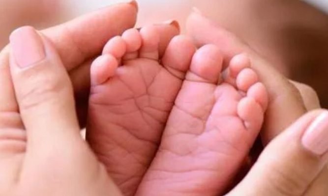 Palmistry, answer the great questions related to your children.