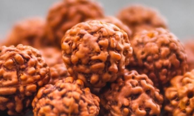 Facts behind wearing Rudraksha