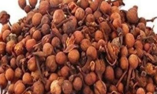 Get benefits in these diseases from Nagkesar
