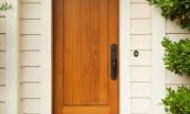 Positive-negative energy enters from the main door of the house