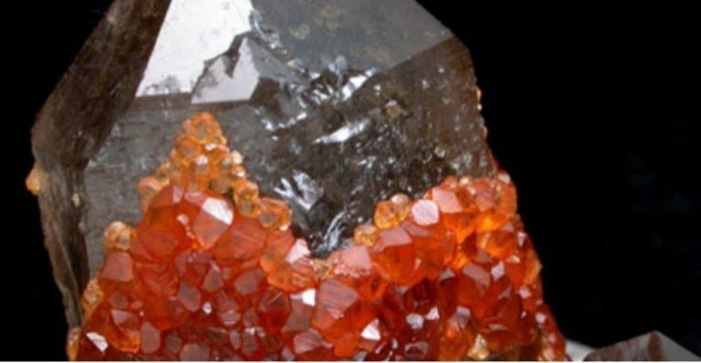 Wear Garnet