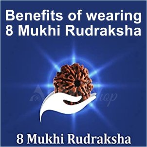 8 Mukhi Rudraksha| Rudraksha| Astroeshop rudraksha|