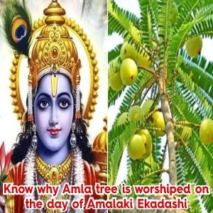 Amalaki Ekadashi Amalaki Ekadashi| Ekadashi 2023| Amla Ekadashi|