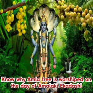 Amalaki Ekadashi Amalaki Ekadashi| Amla Ekadashi| Ekadashi 2023|