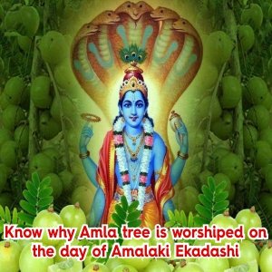 Amalaki Ekadashi Amalaki Ekadashi| Amla Ekadashi 2023|