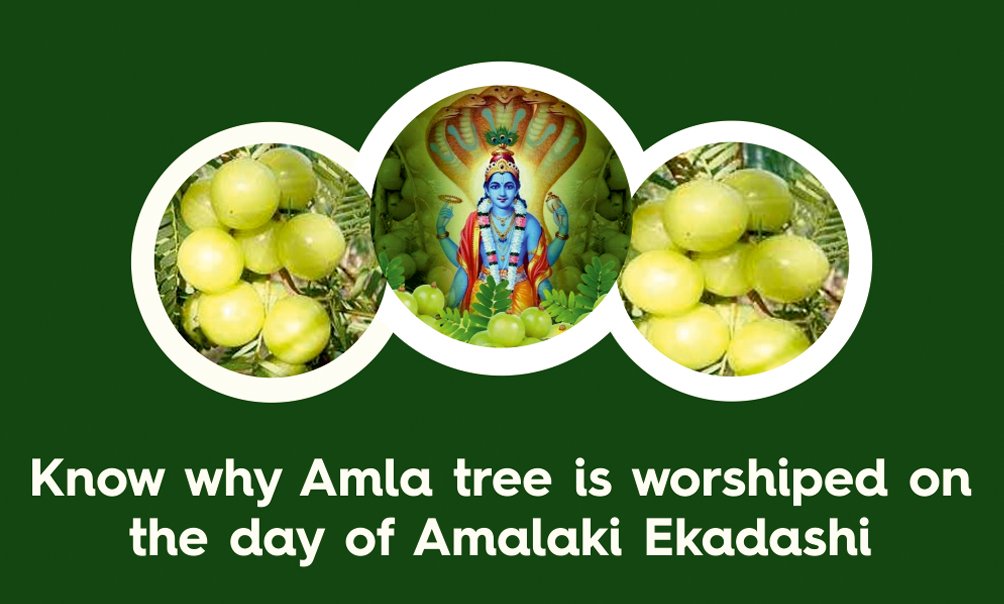 amla ekadasi 1