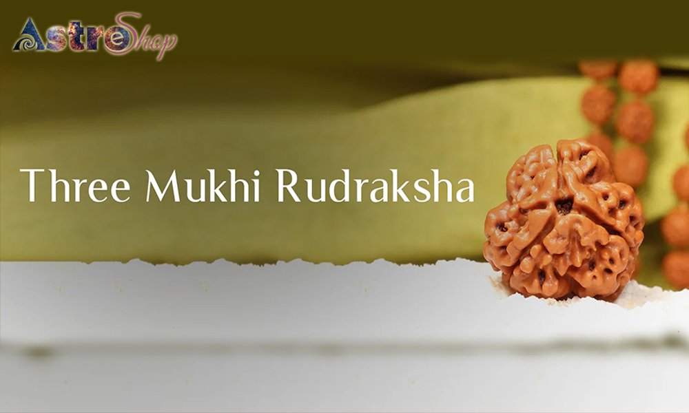 3 faced rudraksha fe