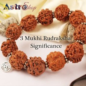 Benefits of 3 Mukhi Rudraksha| Rudraksha| Three faced Rudraksha|