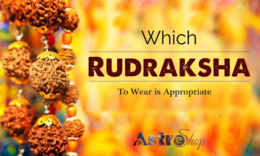 RUDRAKSHA FE