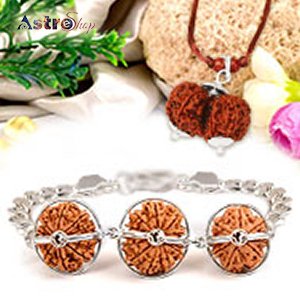 Astroeshop Rudraksha Bracelet| Astroeshop Rudraksha| Rudraksha|