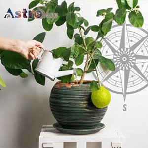 Vastu Shastra| Vastu| 