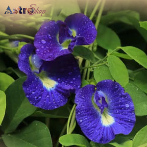 Symbolism in Hindu Culture Symbolism in Hindu Culture