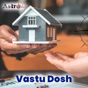 Vastu Dosh| Astrology| Vastu Expert| Astroeshop|