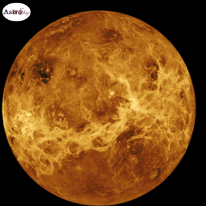 Venus and Career
