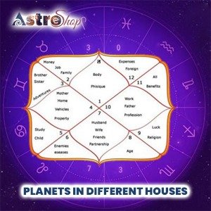 Vedic Astrology